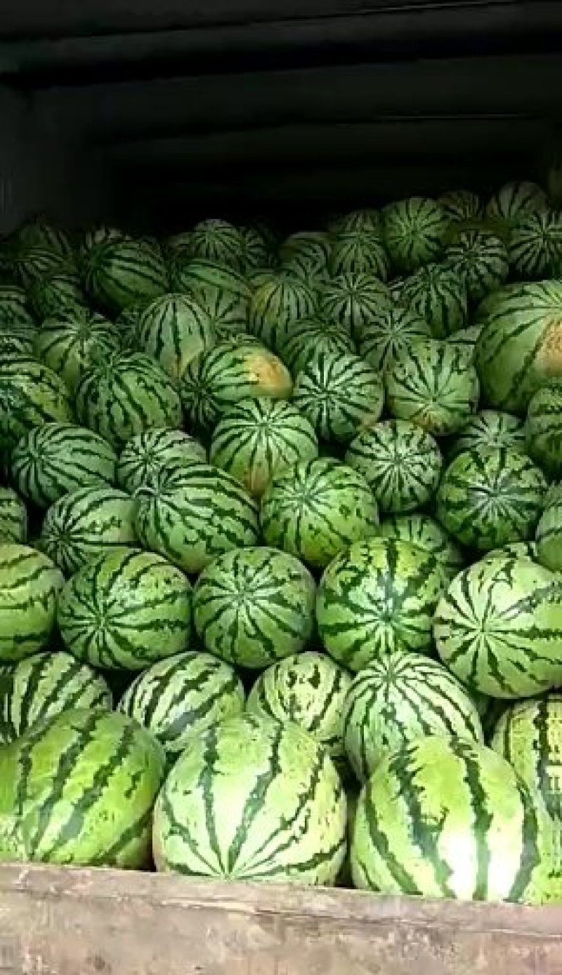 西瓜