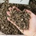 川牛膝中药材川牛膝大货批发