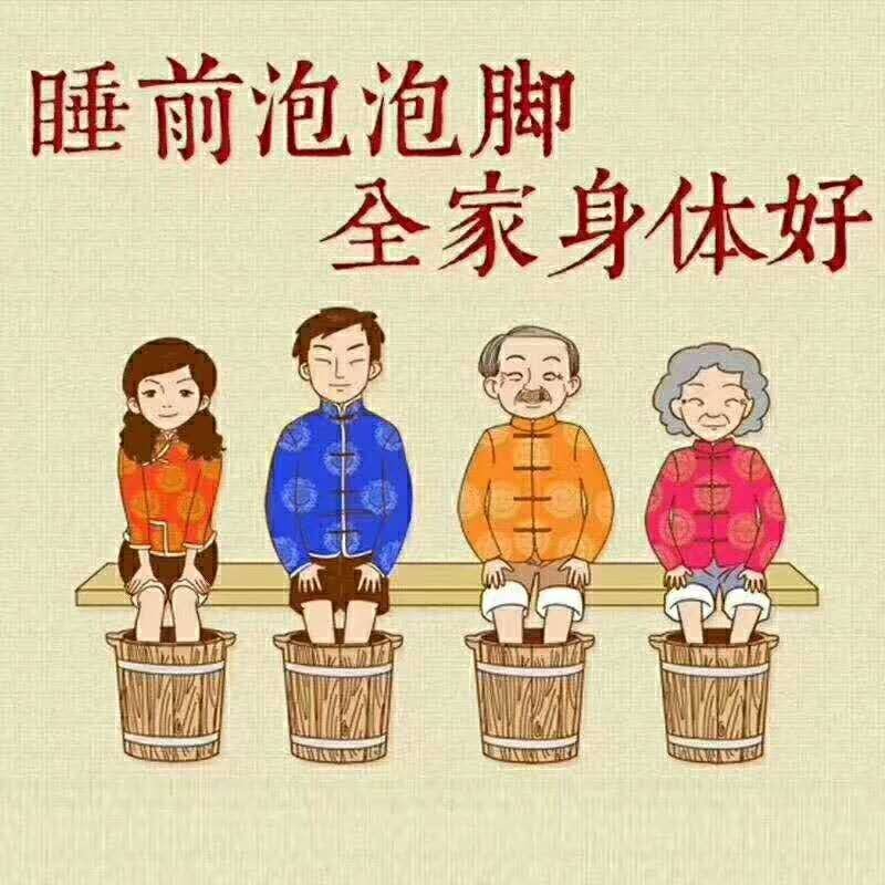 艾叶中药材包