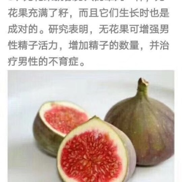 无花果