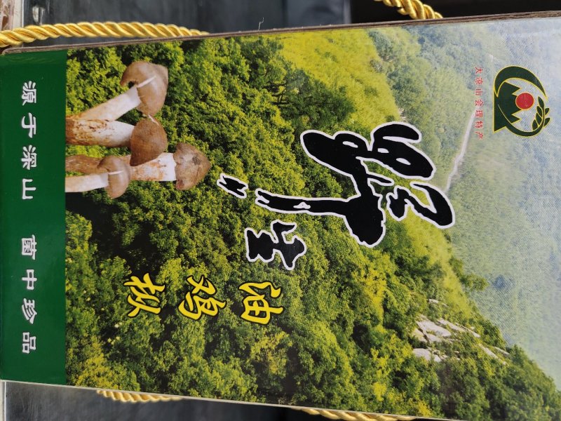 鸡枞油！油鸡枞！