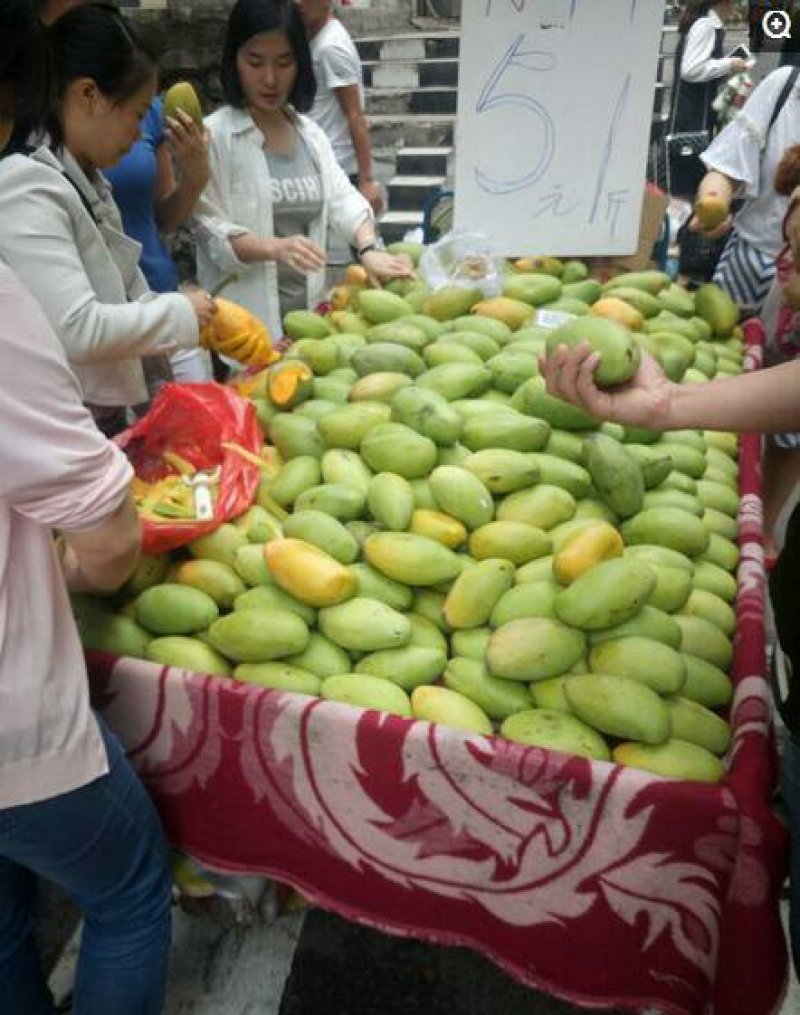 广西百色芒果