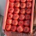 大红西红柿