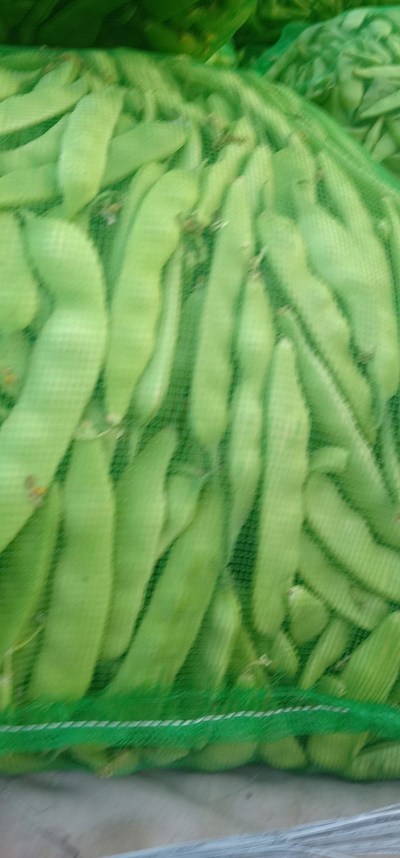 吉林大油豆角，大量上市，质量保证，欢迎前来订购，