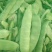 吉林大油豆角，大量上市，质量保证，欢迎前来订购，