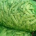 吉林大油豆角，大量上市，质量保证，欢迎前来订购，