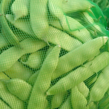 吉林大油豆角，大量上市，质量保证，欢迎前来订购，