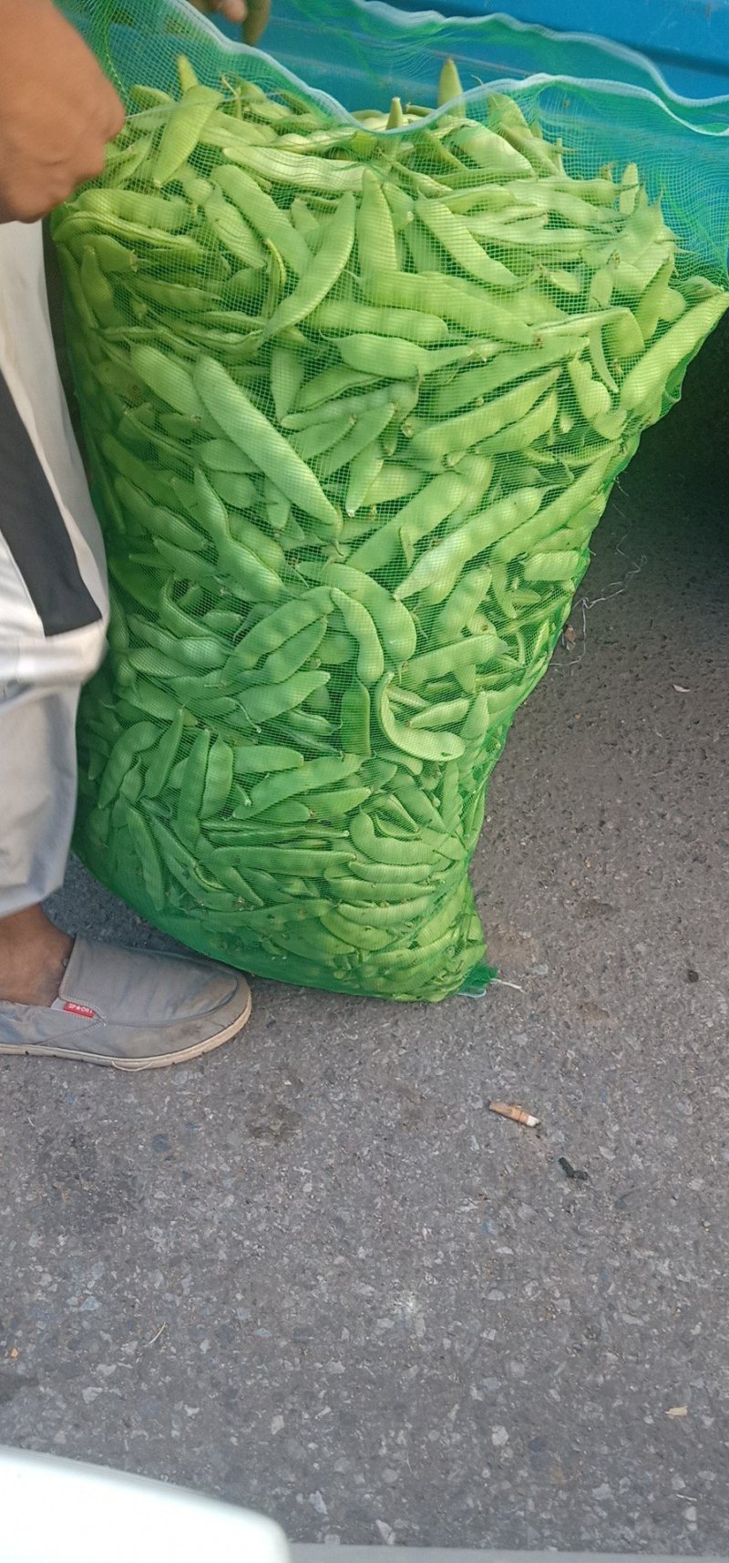吉林大油豆角，大量上市，质量保证，欢迎前来订购，