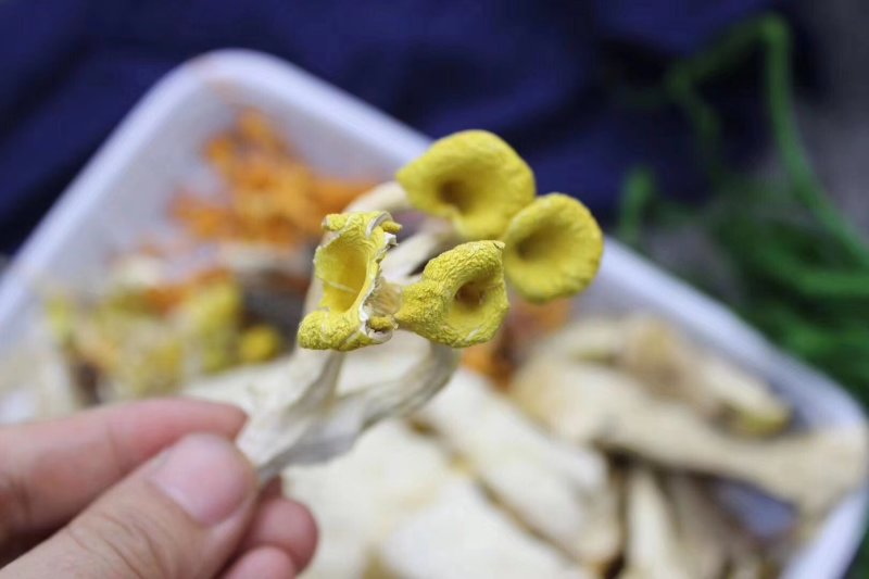 菌包