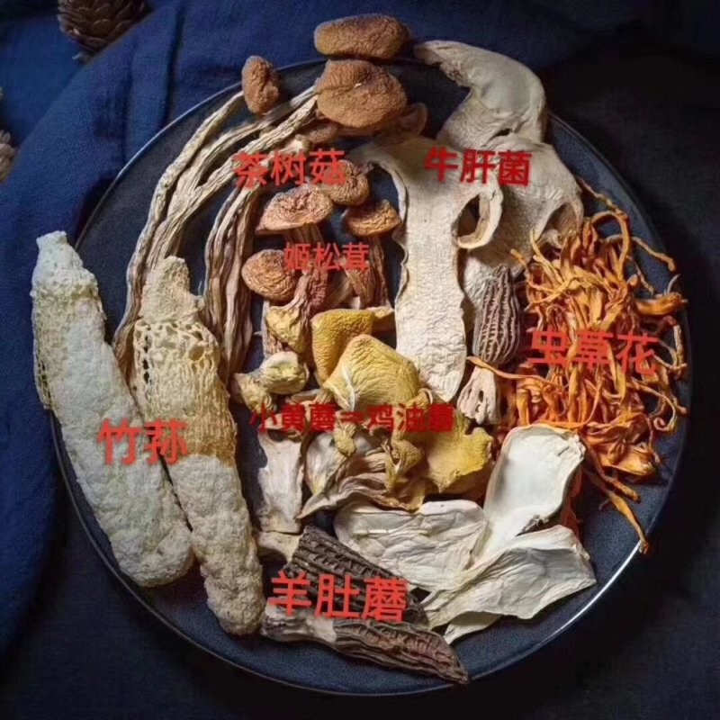 菌包