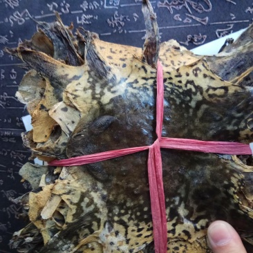 干蟾皮选货10张起售