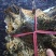 干蟾皮选货10张起售