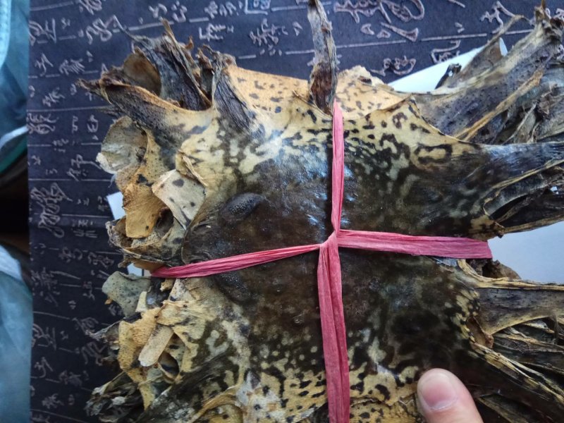 干蟾皮选货10张起售