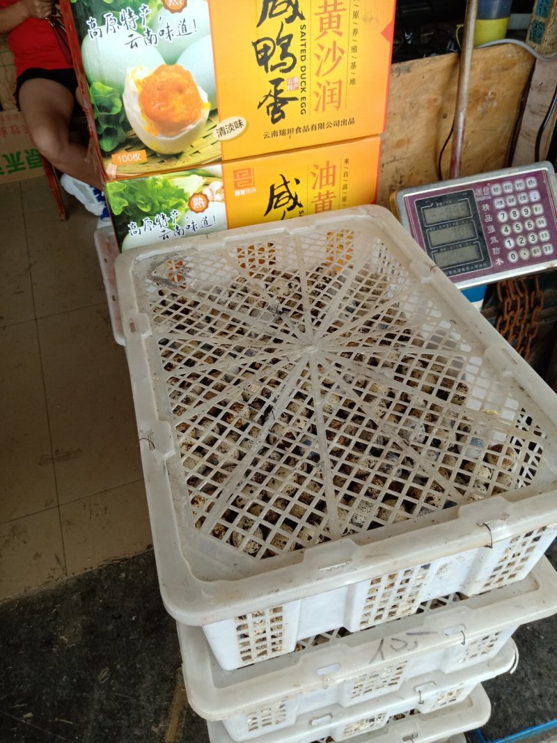 经营批发各种蛋类