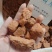 伏龙肝灶心土各种中药材批发零售各种规格中药材