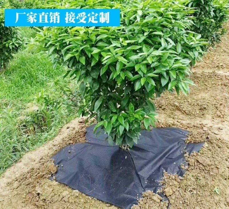 防草布果树除草布大棚农用盖草地布透水透气可降解抗老化耐用