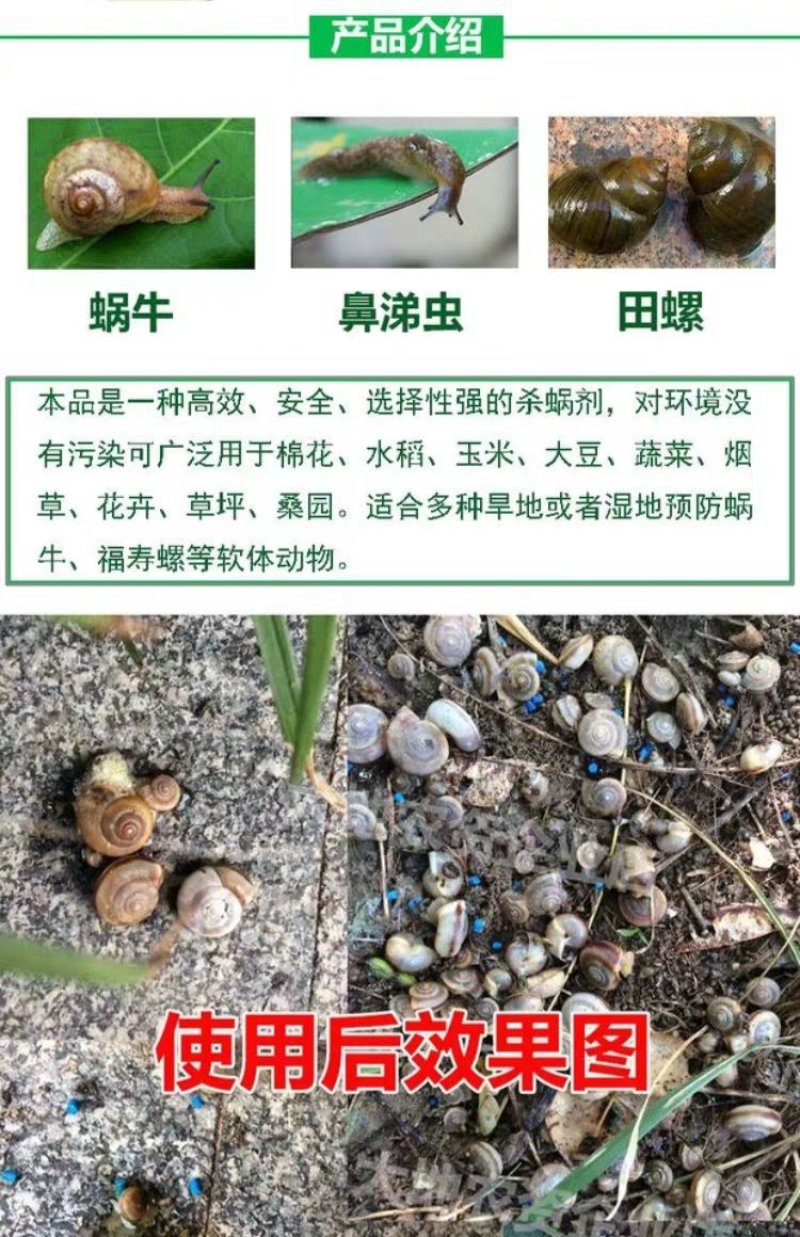 四聚乙醛蜗牛药鼻涕虫杀虫剂农用蛞蝓螺丝杀蜗牛专用药颗粒剂