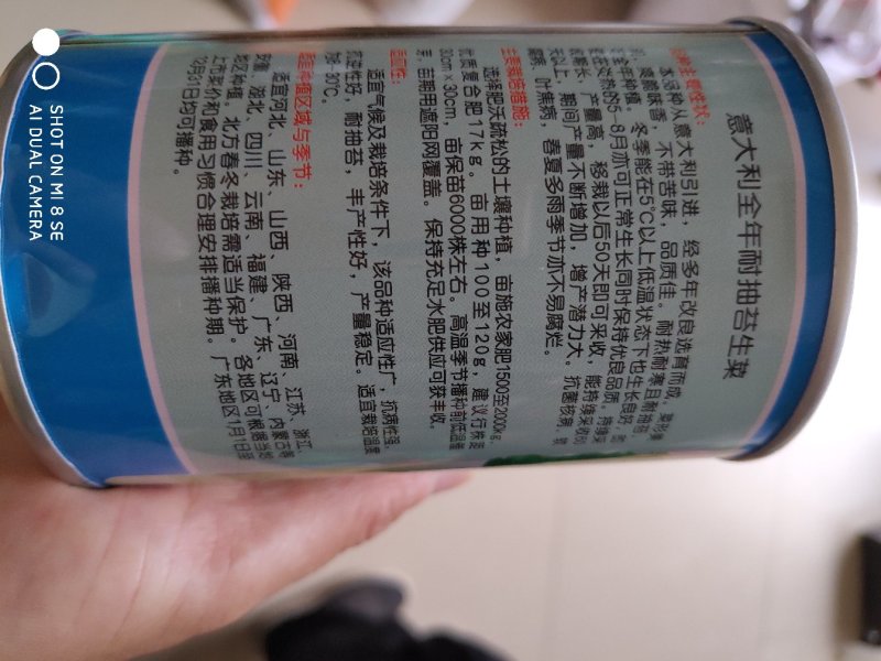 生菜种子一意大利全年耐抽苔生菜种子