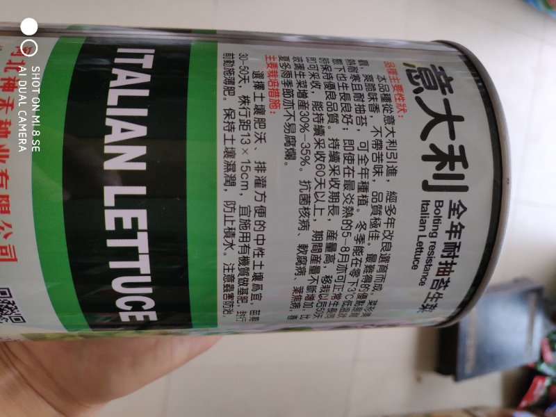 生菜种子意大全年耐抽苔生菜种子