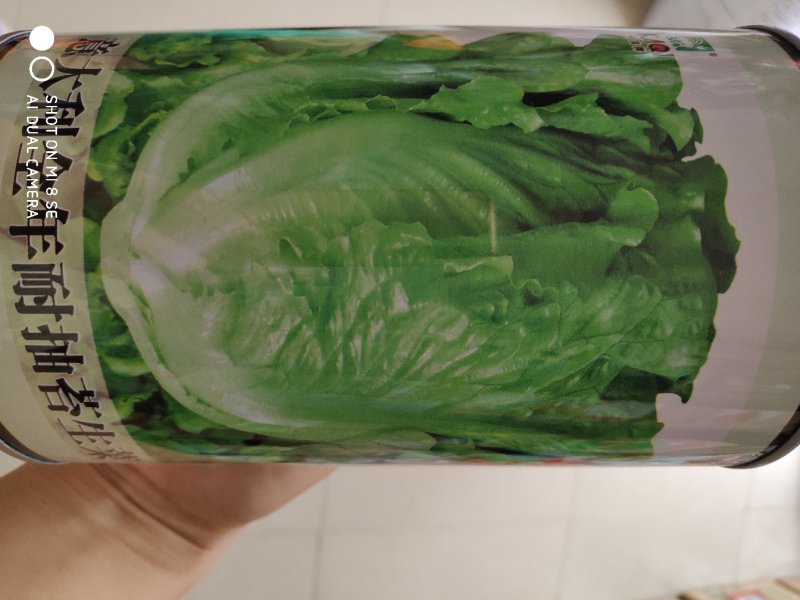 生菜种子一意大全年耐抽苔生菜种子