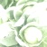 甘蓝类