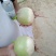 心里美，满堂红