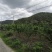 有好货：易门80余亩桃园出租，水电路齐全，有房子