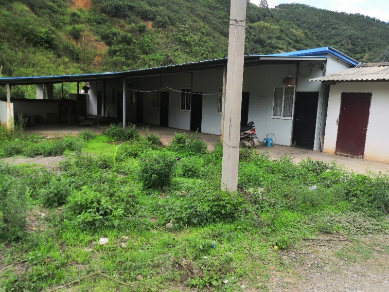 有好货：易门80余亩桃园出租，水电路齐全，有房子