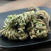 卷柏还魂草1.5一个可药用，观赏