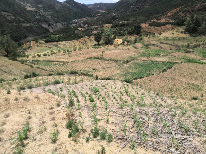 有好货：易门100余亩水浇地出租，交通便利，有抽水站