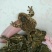 蟾蜍脱皮脱衣器，脱衣完整对蟾蜍无伤害，，