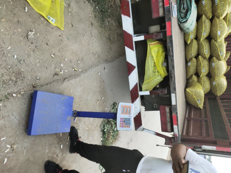 精品鲜花生，四粒红湿花生，籽粒饱满，直供，超市，市场电商
