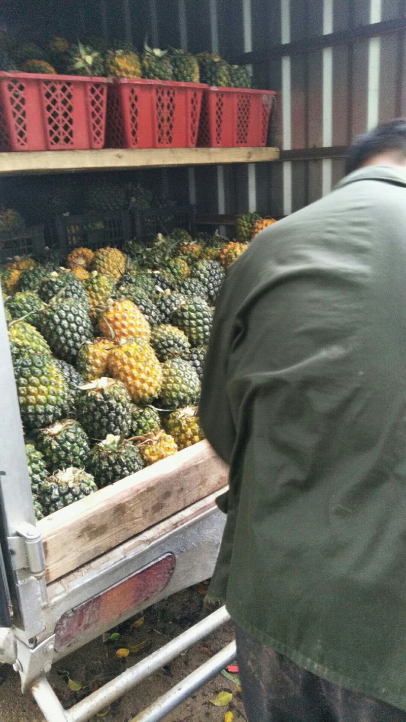 潮州菠萝