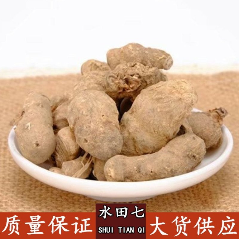 水田七倔头鸡供应上千种中药材