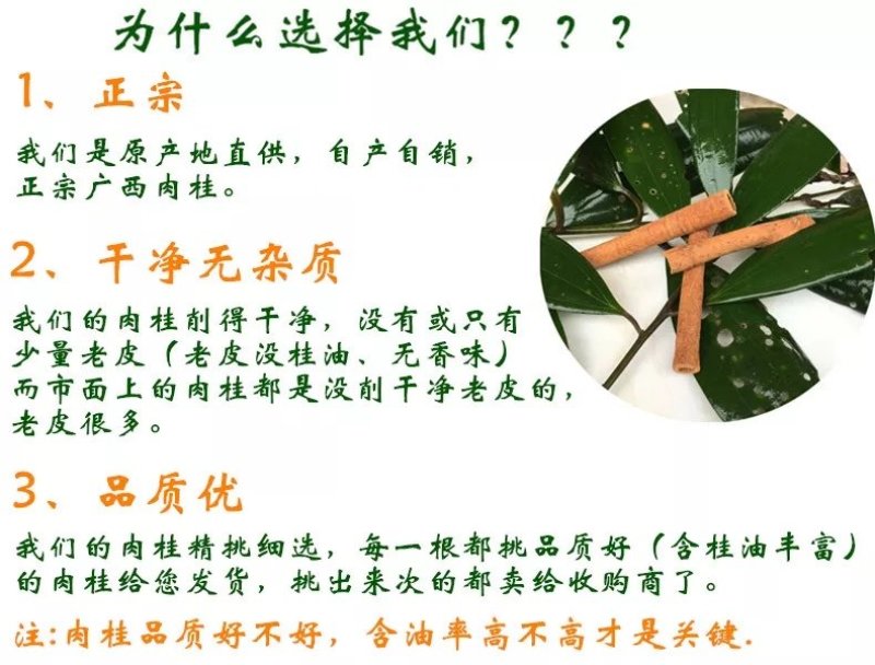 干桂皮