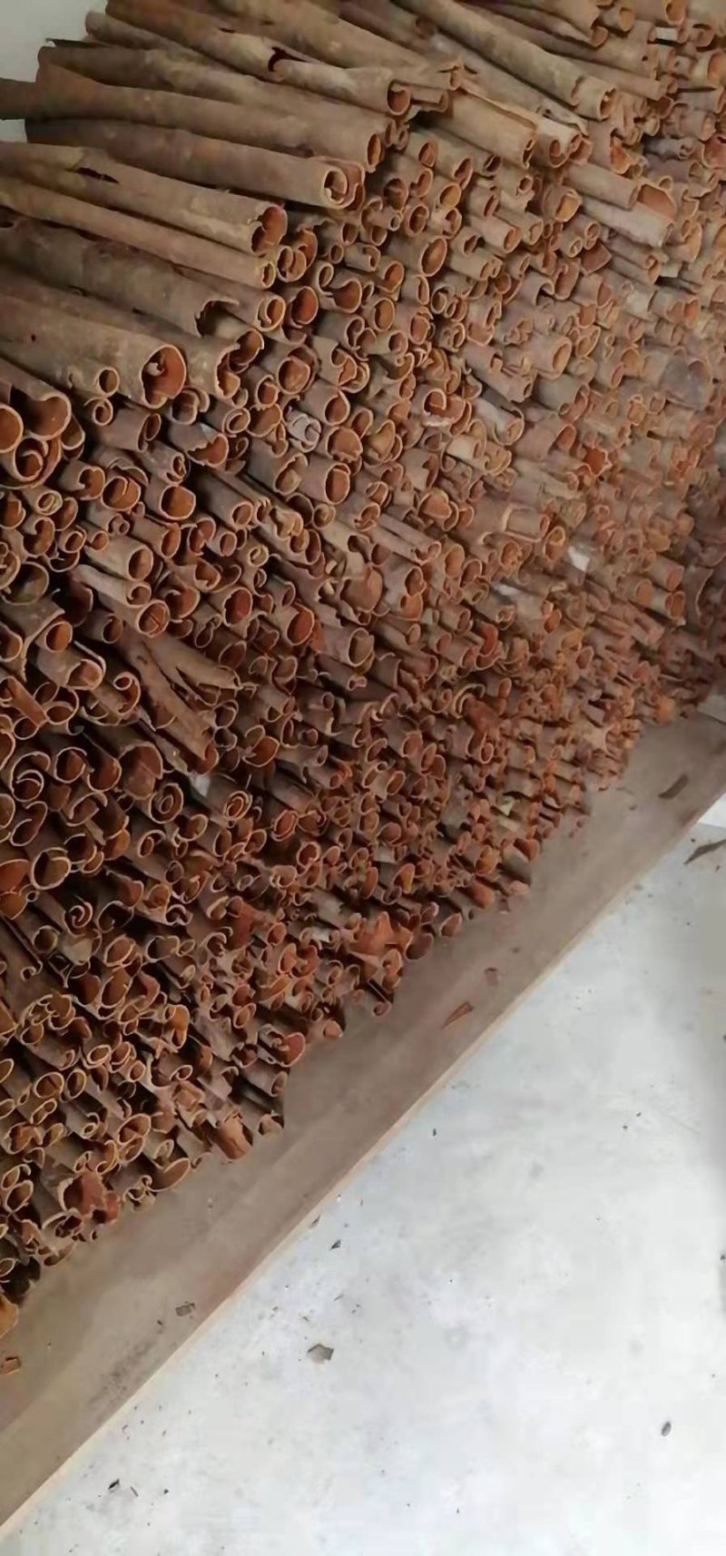 干桂皮
