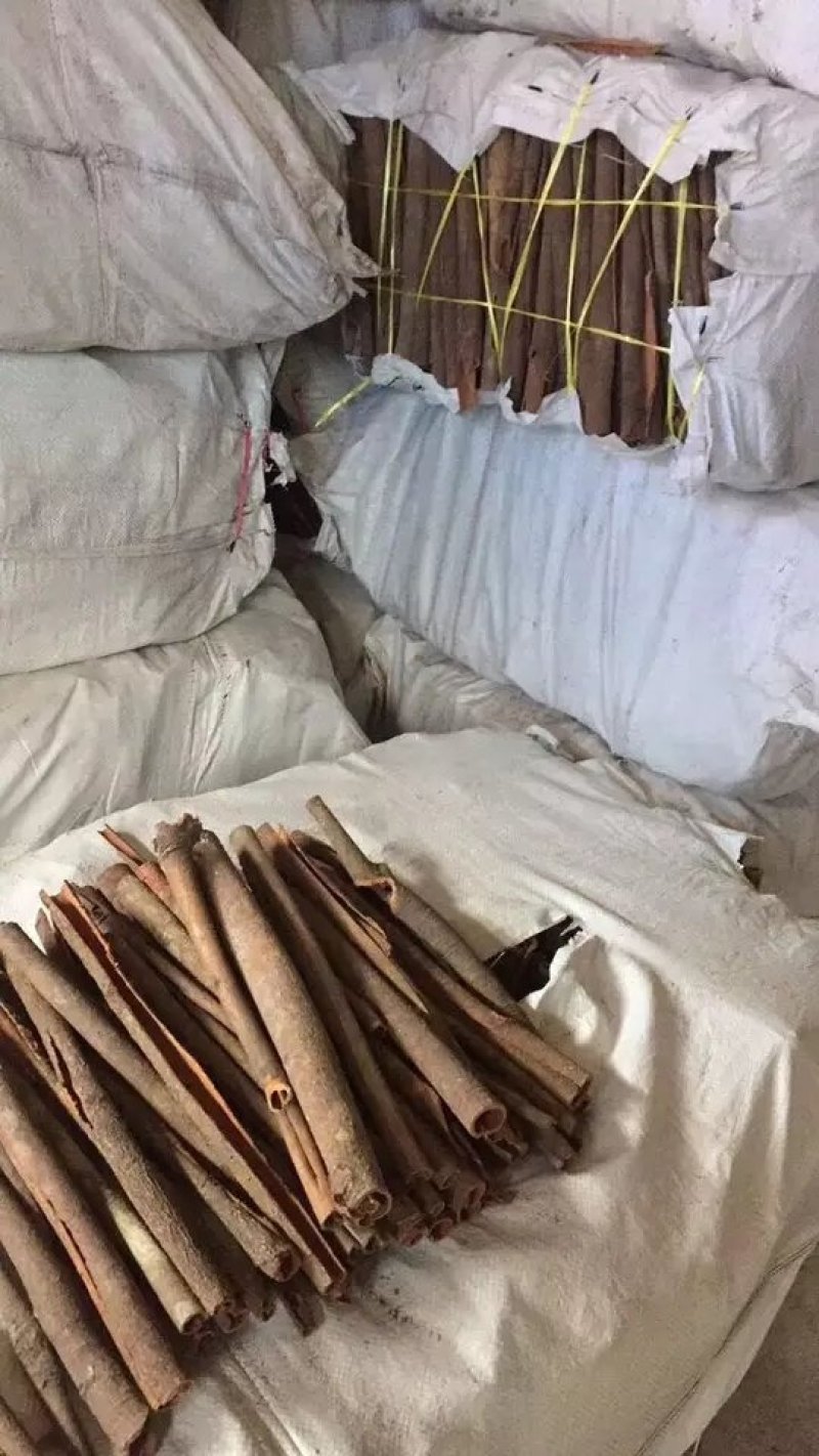 干桂皮
