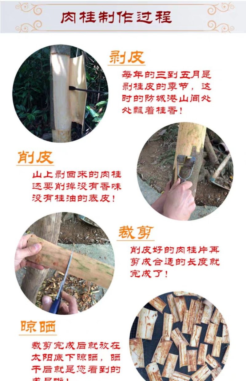 干桂皮