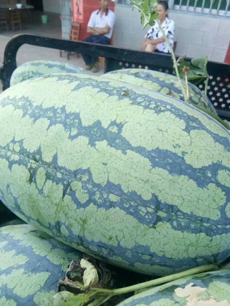 甜王西瓜