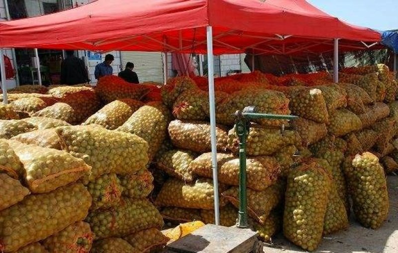 预售代收赞皇金丝大枣，(青枣)赞皇薄皮核桃，板栗……