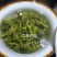 【喝好茶】2023新茶厂家批发正宗日照绿500g包邮尝鲜