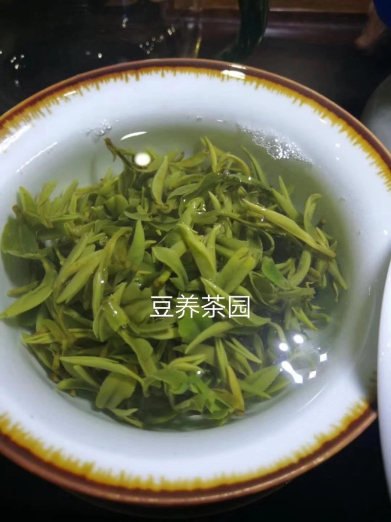 【喝好茶】2023新茶厂家批发正宗日照绿500g包邮尝鲜