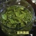 【喝好茶】2023新茶厂家批发正宗日照绿500g包邮尝鲜