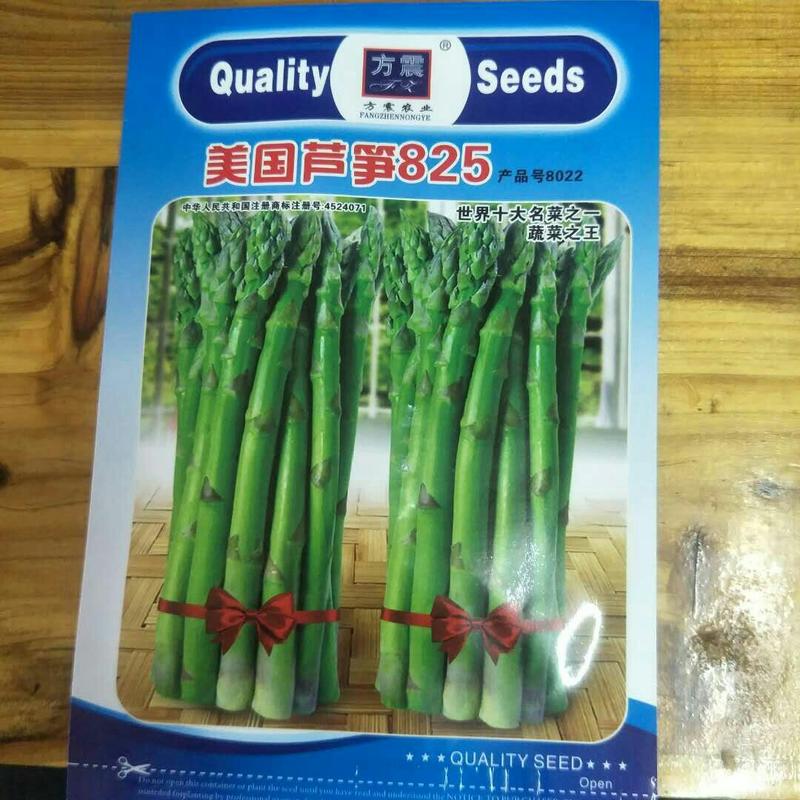 芦笋种子高产多年生四季盆栽早熟蔬菜种子包邮