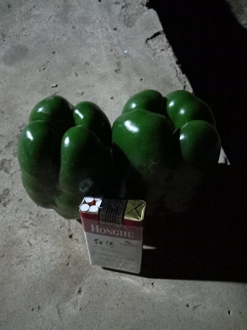 圆椒尖椒