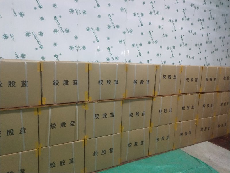 绞股蓝