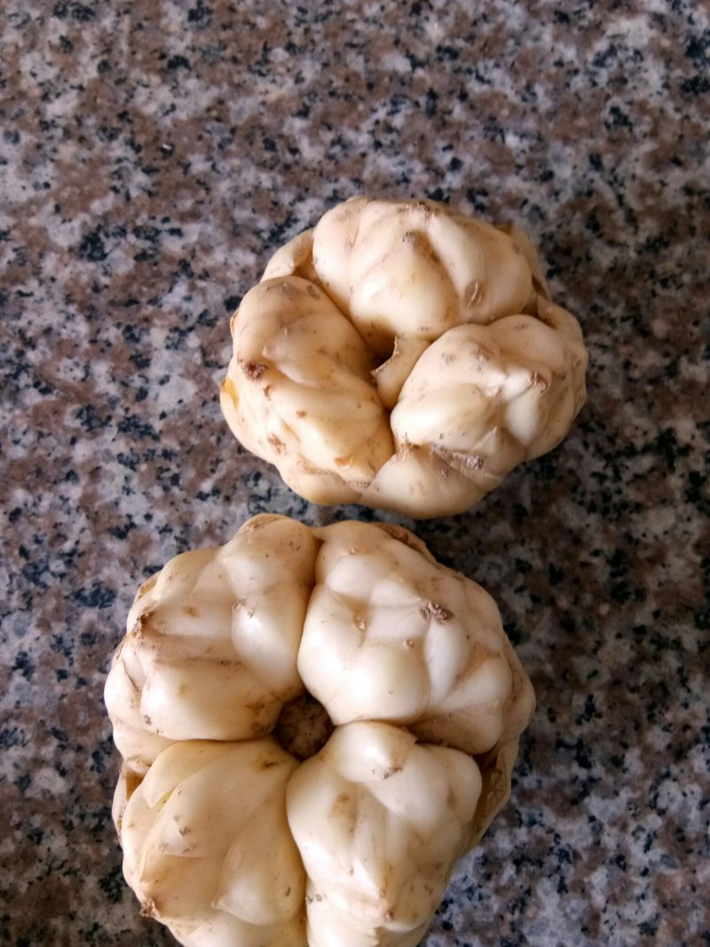 龙山卷丹百合，，，，，，，