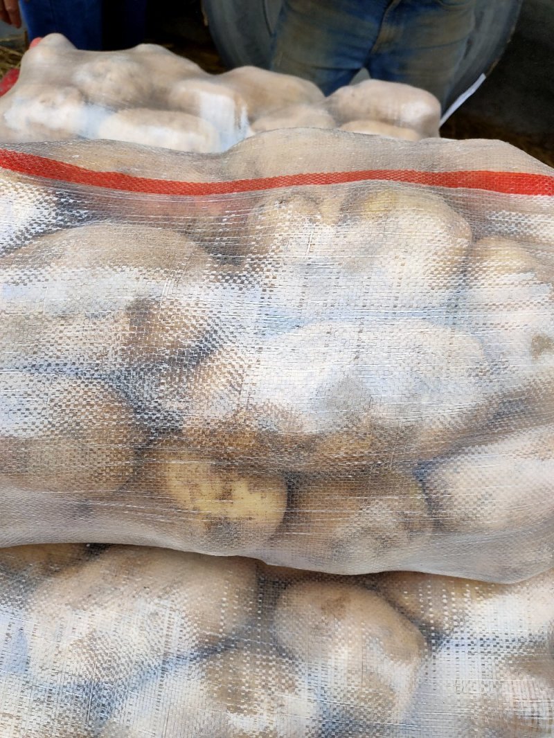 土豆批发，