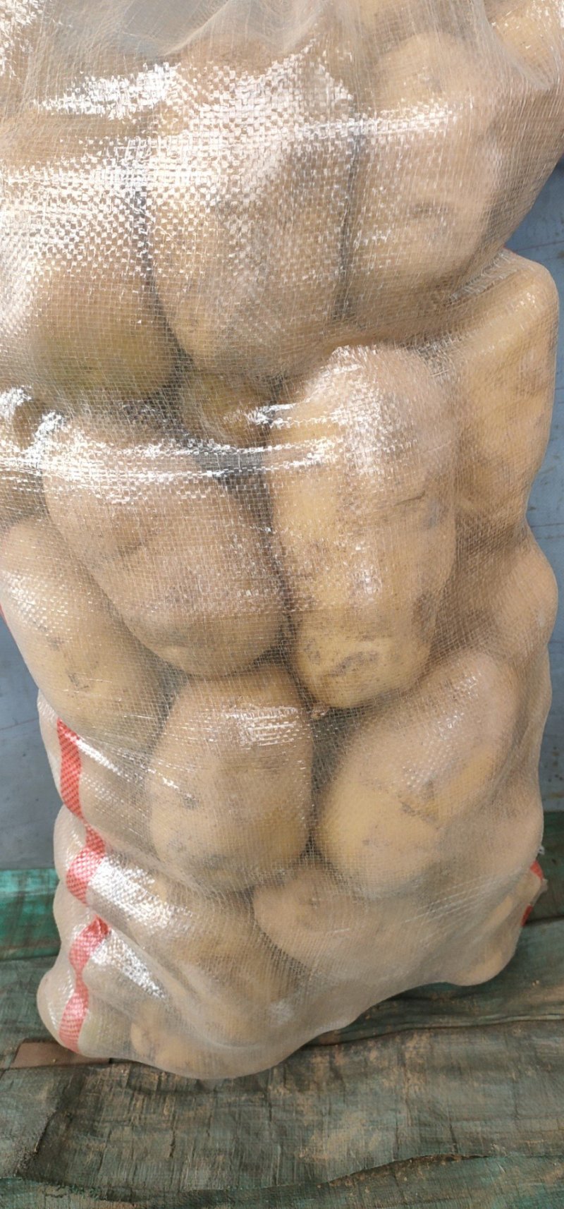 土豆批发，