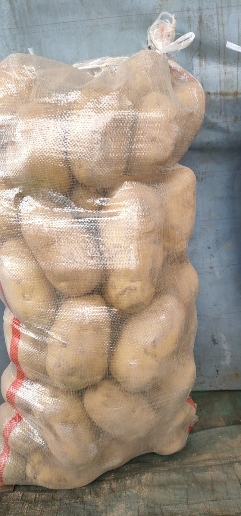 土豆批发，